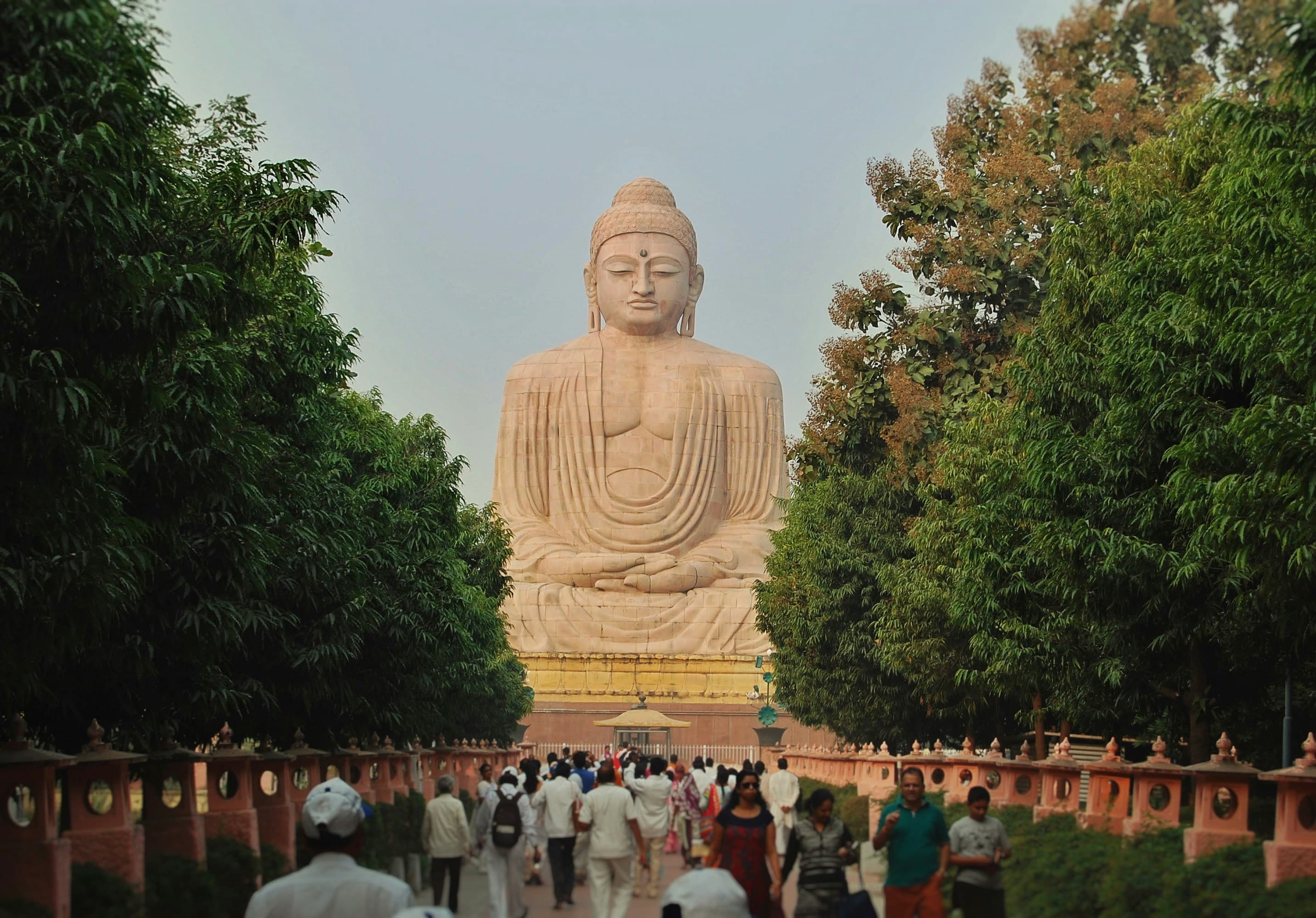 Massive stone Buddha statue in meditation, framed by lush trees with people walking towards it.